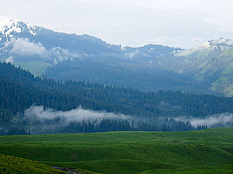 云雾天山