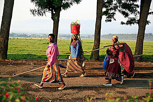 女人,上班,靠近,城镇,维龙加山,卢旺达