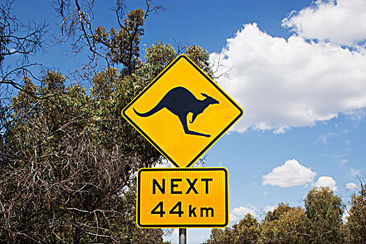 澳大利亚,维多利亚,道路警告标示,乡村道路