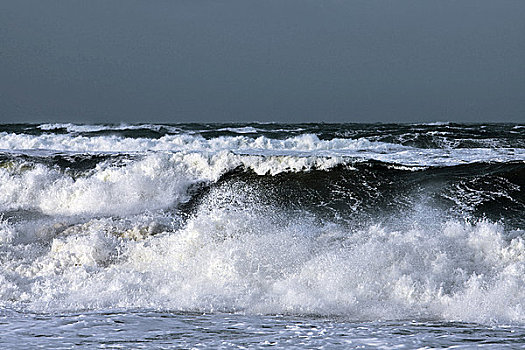 海浪,北海,海岸,德国
