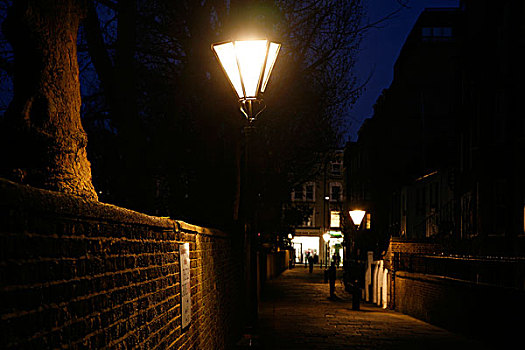 灯笼,小树林,切尔西,伦敦,英国