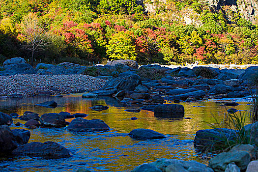 河道,河床,断流,干涸,旱季,石头,河卵石,倒影,植被,自然,风光,本溪,湖里村,秋季,红叶