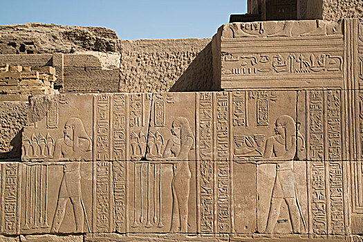 浅浮雕,埃及人,神,庙宇,科昂波,埃及