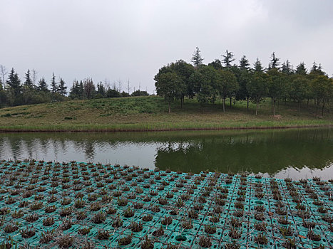 西安鹤鸣湖公园