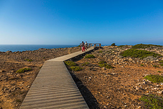木板路,瞭望点,阿尔加维,西海岸,葡萄牙,欧洲