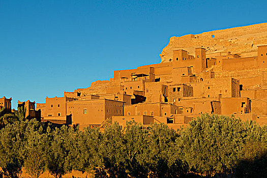 摩洛哥,围绕,绿洲