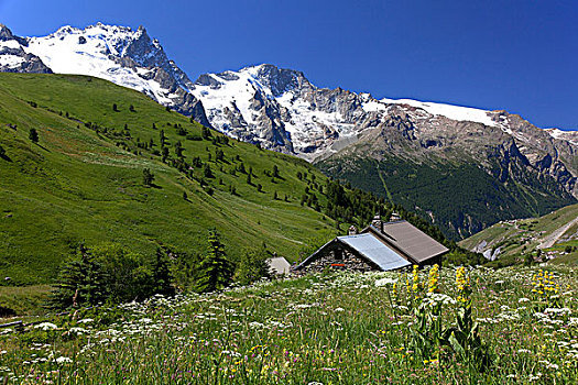 法国,上阿尔卑斯省,山丘,山,木制屋舍,花草