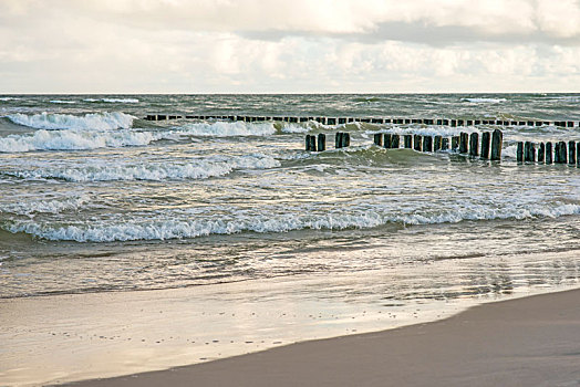 波罗的海,海滩,老,防波堤,海浪