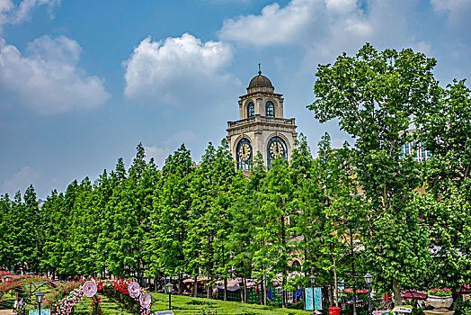 婚庆园美景－教堂城堡,钟楼,婚典大道,水杉,花廊