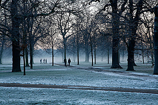 霜,薄雾,肯辛顿花园,伦敦,英国