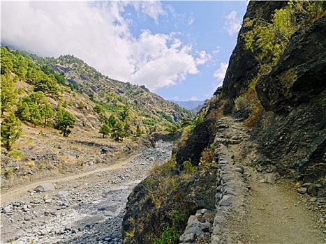 火山口,国家公园,帕尔玛