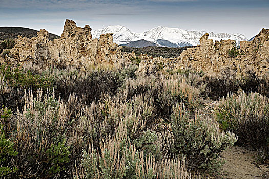 岩石构造,植被,莫诺湖,内华达山脉,背景,东方,加利福尼亚,美国