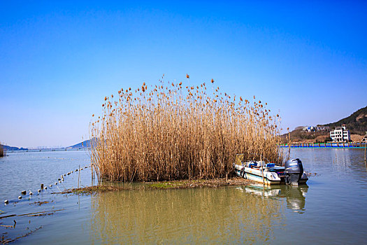 水面,水畔,水岸,阳光