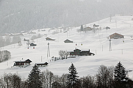 瑞士,伯恩,格林德威尔,滑雪,木制屋舍,冬天