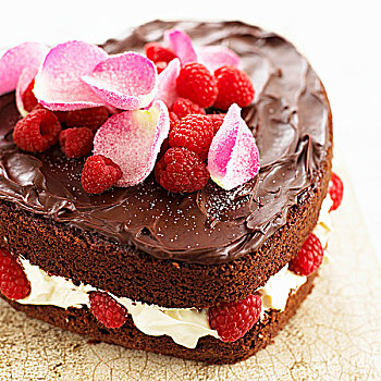 心形,巧克力蛋糕,树莓,奶油,玫瑰花瓣
