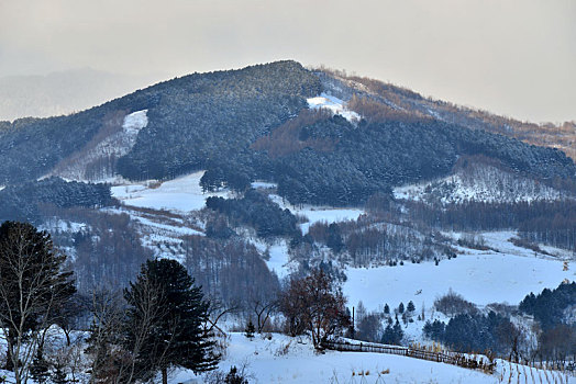 冬季吉林雪村-松岭美景如画