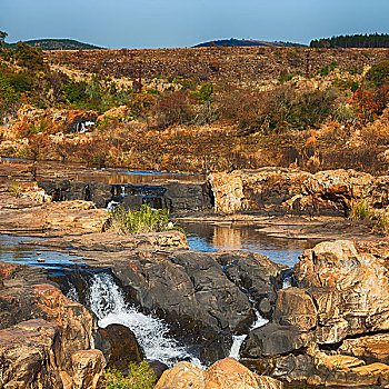 南非,河,峡谷,公园,自然保护区,天空,石头