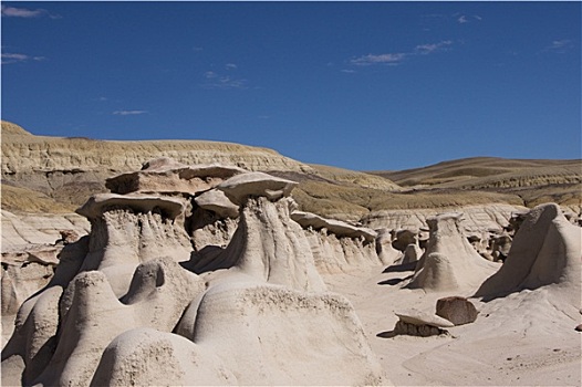 荒地,自然荒野区,新墨西哥,美国