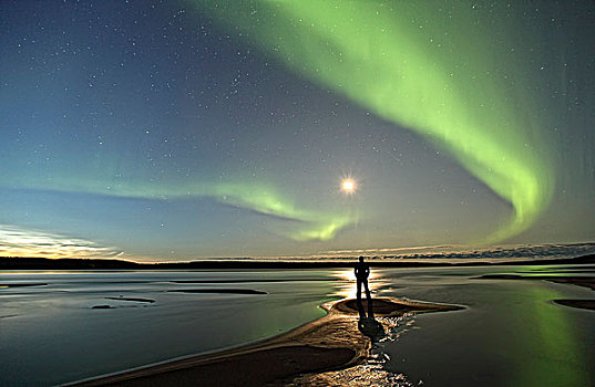 人,站立,岸边,北极光,上方,加拿大西北地区,加拿大