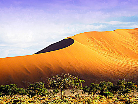 纳米比亚,纳米布沙漠,索苏维来地区