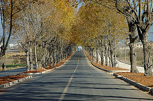 路线,丽江,城市,乡村,云南,中国,十二月,2006年