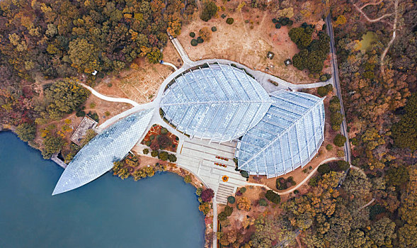 航拍南京秋天的中山植物园