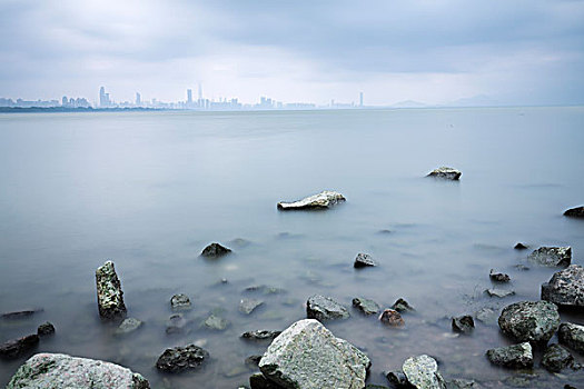 深圳湾海岸