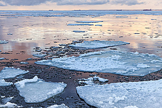 冬天,海边风景,大,漂浮,冰,碎片,海湾,芬兰,俄罗斯