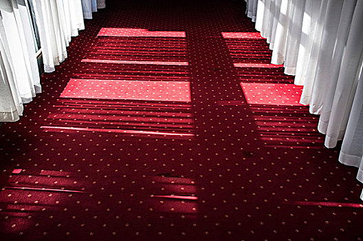 红色,地毯,塞尔维亚,酒店