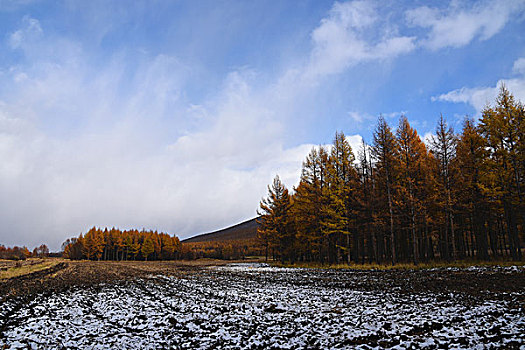 阿尔山雪景