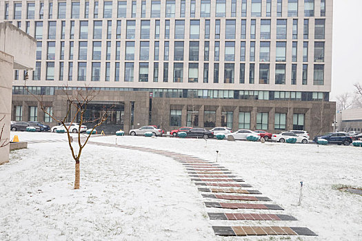 北京教科院雪景