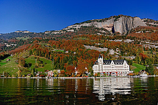 酒店,岸边,琉森湖,瑞士