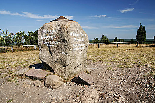 石头,顶峰,靠近,吕内堡,石南,自然,公园,下萨克森,德国,欧洲