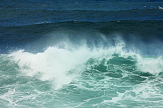 波浪,海浪,靠近,波多黎各,特内里费岛,加纳利群岛,西班牙,欧洲