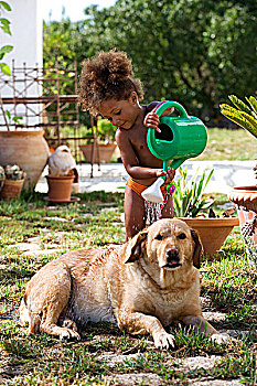 女孩,浇水,狗,花园