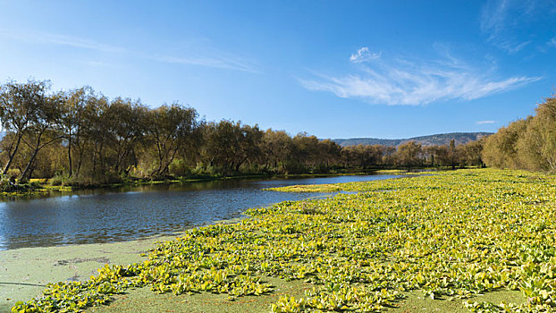 滇池湿地风光