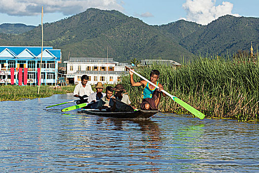 缅甸,茵莱湖,男人,划船,独木舟,水