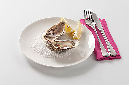 盘子,牡蛎,白色背景