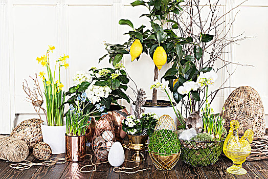 复活节,安放,多样,植物,蛋