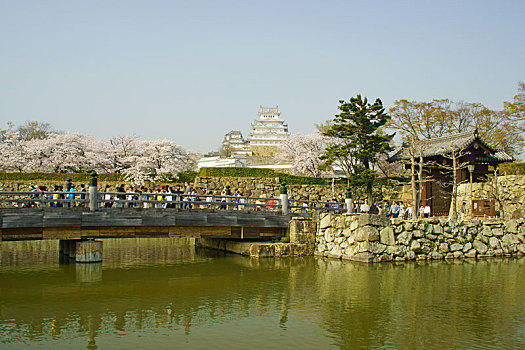 姬路城堡,春天,兵库,日本