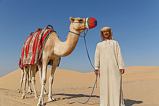 头像,贝多因人,骆驼,沙漠,迪拜,阿联酋