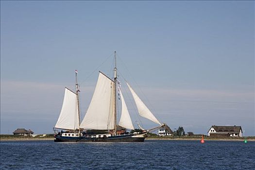 传统,帆船,正面,波罗的海,石荷州,北德,欧洲