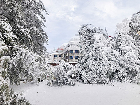 庐山雪