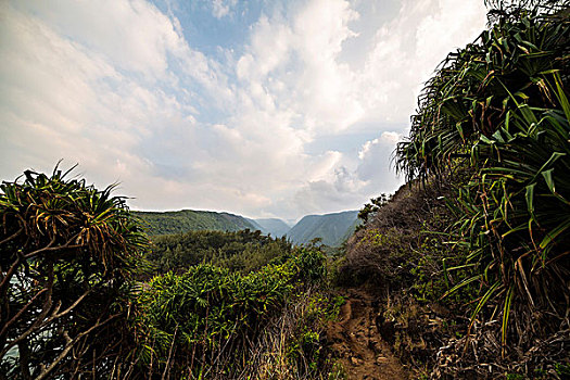 山谷,夏威夷大岛,夏威夷,美国