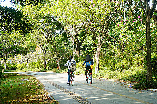深圳绿道年轻人在骑自行车