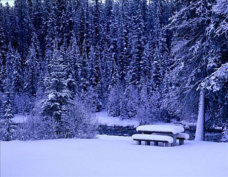 野餐桌,冬天,碧玉国家公园,艾伯塔省,加拿大