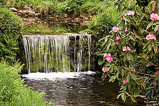 河流,瀑布,达特姆尔高原,国家公园,德文郡,英格兰