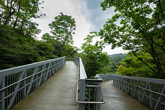 台湾新北市十分寮瀑布公园森林步道