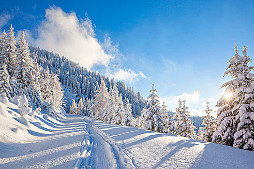 滑雪轨迹,道路,阿尔卑斯山,奥地利