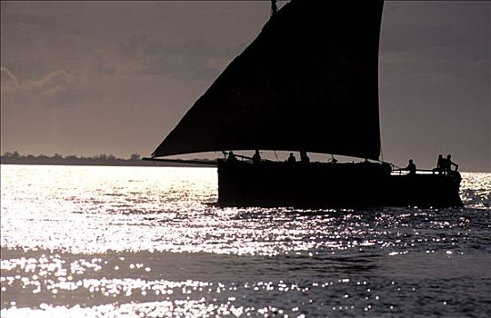 坦桑尼亚,桑给巴尔岛,独桅三角帆船,渔船